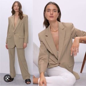 Aritzia Babaton Agency Blazer in Taupe Beige